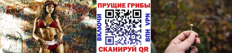 Купить где  Балтийск  Псилоцибиновые грибы прущие грибы 